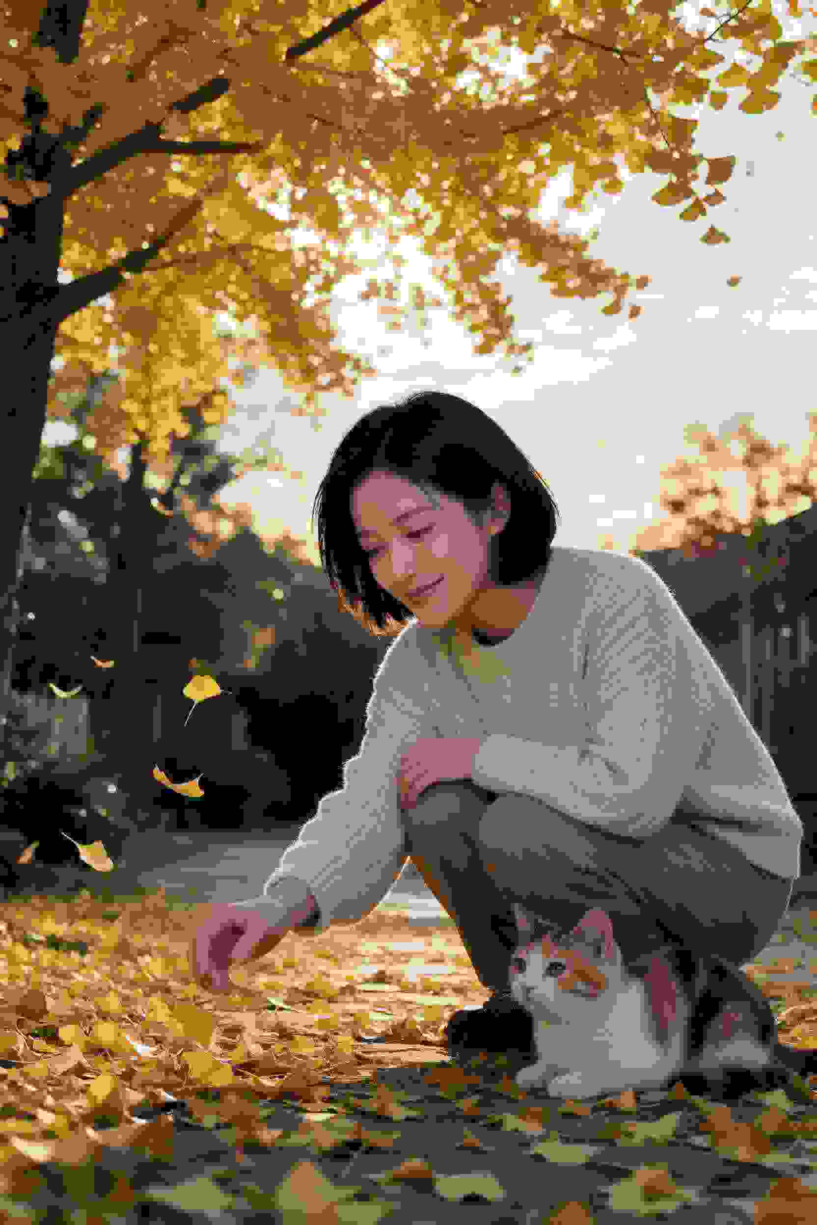 灼灼青春